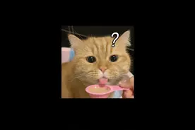 东北老铁说的吃不上四个菜，指的是哪些菜？ #有趣的知识又增长了
