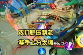 如何利用匹配机制去上分？“双打野玩法”中路玩家的天塌了！视频封面