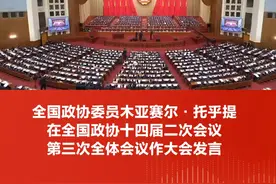 3月9日，全国政协十四届二次会议举行第三次全体会议，全国政协委员木亚赛尔·托乎提走上发言席，作题为《文旅融合浇灌民族团结之花》的大会发言。视频封面