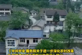 中央一号文件：不允许城镇居民到农村购买农房、宅基地  不允许退休干部到农村占地建房视频封面