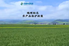 #抖音助农#乡村振兴地理标志农产品保护政策视频封面