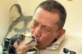 生病后的斑比总是郁郁寡欢，我爸又心疼了，但只有我知道…… 斑比肯定都是装的！哼！#斑比一家人 #京城阔少斑比  #萌宠出道计划 #不养狗不知道养狗的乐趣 #狗子成精了视频封面