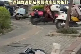 南宁一男孩遭马蜂群攻倒地   专家详解户外活动如何预防马蜂蜇人  遇蜂群须捂头缓慢撤离切忌拍打视频封面