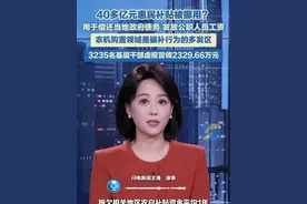 40多亿元惠民补贴被挪用？用于偿还当地政府债务，发放公职人员工资，农机购置领域是骗补行为的多发区，3235名基层干部虚报冒领2329.66万元。视频封面