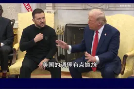 美乌在争吵中谈崩，欧洲继续支持乌克兰，特朗普的调停有点尴尬 #抖音热评视频封面