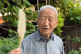 用带蛹的茧丝制作一款“蚕丝扇”1.0版 @宫老师__ #蚕丝扇 #艺术 #别拽我我是艺术家 #生活美学 #国画视频封面