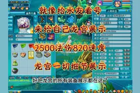 2500法伤820的任务龙宫装备怎么搭配？细节全展示！自取视频封面