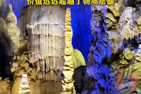 贵州的一棵“树”被投保15亿 #织金洞银雨树被投保15亿视频封面