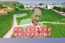禾下乘凉梦，一稻一人生！致敬袁老，这盛世如您所愿#巨型水稻 #漳州@抖音短视频 视频封面