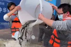 此次放流为今后扩大中华鲟增殖放流规模、有效促进自然繁殖恢复奠定了坚实基础。#中华鲟 #武汉加油 #社会百态 #感动瞬间 #热点 视频封面