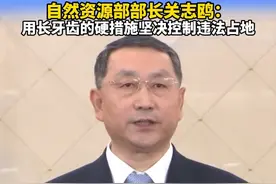 #让欣赏田园风光成为新时尚 #用长牙齿的硬措施坚决控制违法占地视频封面