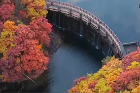 厚重中原，文脉绵延，朱迅：河南特别出作家！茅盾文学奖得主河南有10位。#河南 #茅盾文学奖 #朱迅视频封面