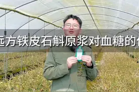 远方好物铁皮石斛原浆对血糖的作用视频封面