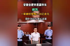 安徽合肥市原副市长姚凯一审被控受贿1.06亿余元#反腐倡廉 #打虎拍蝇 #受贿视频封面