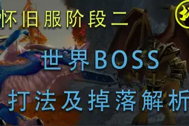 【坏木杨】魔兽世界60级世界BOSS简要攻略及掉落分析视频封面