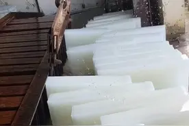 郑州一制冰厂日销冰块300吨！ 一块冰30元 至少能用6小时，冰厂负责人：生产多少卖多少，员工月入破万（大参考）#大象主播说 #河南dou知道