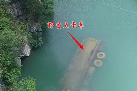 贵州深山河道内发现一辆野生大卡车，上面已经锈迹斑斑，旁边也没有路，到底怎么掉下去的，为什么不捞起来呢？#神秘  #奇闻异事  #不可思议  #旅行大玩家视频封面