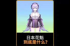 日本花魁到底是什么？ #省流 #省流侠 #涨知识