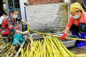 不同国家甘蔗制糖过程！#甘蔗 #科普 #涨知识视频封面