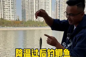 降温过后钓鲫鱼 #2024dou来钓鱼 #dou是钓鱼人视频封面