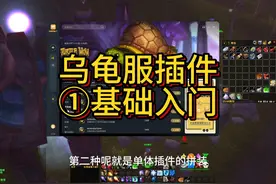 【乌龟服插件】0基础带你入门，看完你也会用视频封面