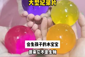 #水宝宝 #童年玩具 #宠物 #少年 直到现在我才知道视频封面