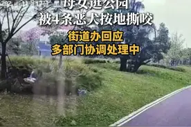 母女逛公园 被4条恶犬按地撕咬 街道办回应
多部门协调处理中#遛狗不牵绳 #烈犬伤人 #烈犬视频封面