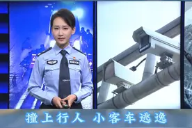 撞上行人 小客车逃逸
多方追捕 肇事者落网视频封面