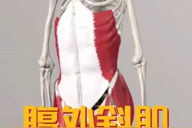 腹外斜肌功能解剖 #运动解剖 #人体解剖学 #运动康复视频封面