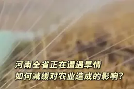 河南全省正在遭遇旱情 如何减缓高温和旱情对农业造成的影响？视频封面
