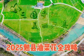 终于轮到勉县做油菜花节主会场了！2025年勉县11处赏花地全视频封面