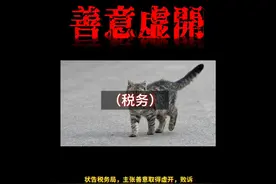 状告税务局，主张善意取得虚开，败诉视频封面