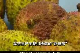 警惕“荔枝病”！专家： #不要空腹吃荔枝视频封面