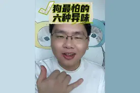 你家狗最讨厌的六种味道，尤其是最后一种，最常见也最危险 #养狗经验分享  #科学养宠攻略  #新手养狗 #狗狗 #狗狗讨厌的味道视频封面