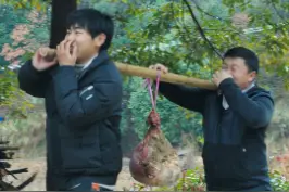 据说牛瘪火锅，是黑暗料理中的天花板，今天我们来挑战一下。#跟着抖音学做菜 #好羡慕乡村的年味 视频封面