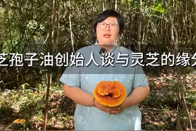 远方好物灵芝孢子油创始人谈与灵芝的缘分视频封面