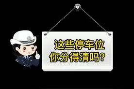 黄色、白色、蓝色的停车位你分得清吗？#交警 #车位 #涨知识了 视频封面