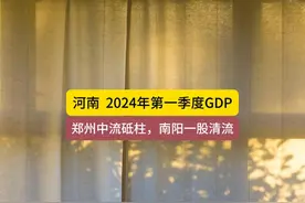 河南省2024年第一季度GDP，郑州中流砥柱，南阳副中心发力 #河南视频封面