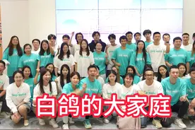 今天带你们看一下白鸽的大家庭，我们生的卑微但绝不甘平凡视频封面