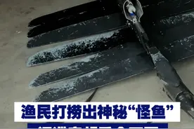 【渔民打捞出神秘“怪鱼” 间谍竟想重金买回】近日，国家安全部披露一起“谍鱼”案例。