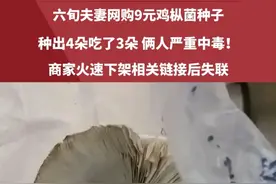 六旬夫妻网购9元鸡枞菌种子，种出4朵吃了3朵，俩人严重中毒！ 商家火速下架相关链接后失联，专家：真正的鸡枞菌种是种不出来的#鸡枞菌 #中毒 #网购