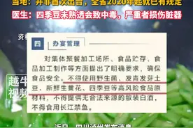 四川泸州农村聚餐将不得使用四季豆引热议，当地：并非首次出台，全省2020年起就已有规定。医生：四季豆未熟透会致中毒，严重者损伤脏器#豆角 #四季豆 #坝坝宴视频封面