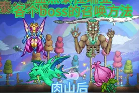 泰拉瑞亚各个boss的召唤方法（肉后篇）视频封面
