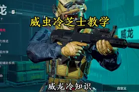威龙你必须知道的冷芝士#三角洲行动 #三角洲行动新手教学视频封面