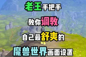 魔兽世界既想要高画质，又想要流畅不卡？老王手把手教你设置！ #魔兽世界 #魔兽世界正式服 #魔兽世界怀旧服 #魔兽世界二十周年视频封面