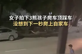 深圳3熊孩子夜晚踩多车车顶蹦跳，车主：口头教育后孩子道了歉#熊孩子 #深圳 视频封面