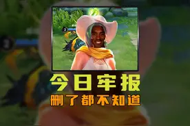 今日牢报，删了三天，都不会有人发现少个英雄！ #王者荣耀视频封面