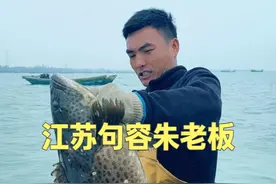 勇敢的人先享受世界，祝贺江苏句容的朱老板喜提一条野生大石斑 #dou来广东百千万 #春日机位大赛 #出海捕鱼 #新农人计划 #寻山探海征集令视频封面