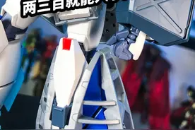 【模玩浅谈：万代MG 高达NT1 2.0】四层内构的小PGU视频封面