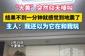 “大黄”突然仰天嚎叫，结果不到一分钟就感觉到地震了，主人：我还以为它在和我玩#银川地震 #万万没想到 #万物皆有灵视频封面